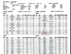 半岛体育-深圳佳兆业客场不敌上海申花，积分差距拉大