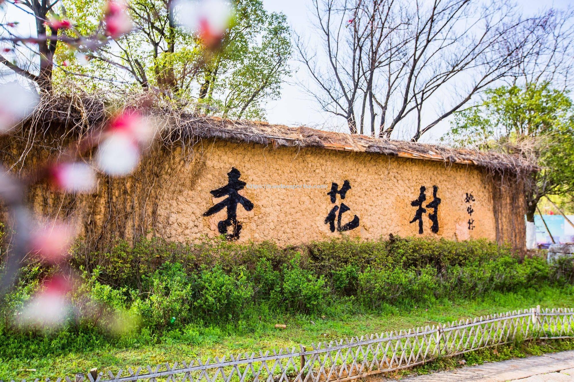 半岛体育-荷兰风车节吸引众多游客，推动旅游业发展